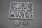 Warhammer Aos Stormcast Eternals Lord-imperatant W gryph-hound New On Sprue