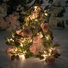 7 Ft Led Roses Leaves Garland Battery Operated Fairy Lights Party Supplies