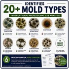 Evviva Sciences Home Mold Test Kit  Diy Air  Hvac Vent And Surface Sampling    
