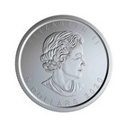 2020 Canada  5 Pure Silver Coin   w  Mint Mark  Silver Maple Leaf  winnipeg 