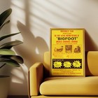 Archive Cinema  historic Bigfoot Documentary  Poster -- 11x17  Roger Patterson