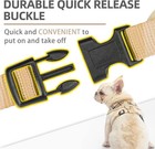 Soft Mesh Dog Harness Small Sized And Leash Set Pet Puppy Cat Comfort Padded Ves