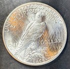 1923 Bu Silver Peace Dollar 90  Silver Superb Gem Bu From Original Roll 