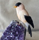 American Goldfinch On Amethyst 6  -peter Muller