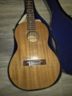 Vintage Harmony Mahogany Rosewood Baritone Ukulele With Original Case Usa