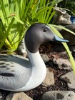 Vintage Ducks Unlimited Signed  randy Tull  1989-90 Northern Pintail Drake Duck