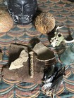Real 1800s Witches Seance Coffin Collar  Bone slate  Rope feathers nail Soap Box