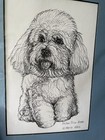 Bichon Frise Dog Print By G  Mary Allen 1988 -  In Cellophane - 9 X 12 W matte