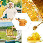 1pc Honey Extractor Valve Nylon Plastic Food Grade Beekeeping Hive Tool - New