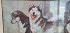 Marcia Van Woert Painting Alaskan Malamute Dogs Signed 1985s   171 400 27x22inc