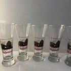 1998 The Budweiser Lizards Set Of 5 Glasses Anheuser Busch