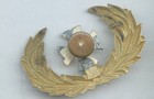 Spanish American Philippine War Hat Cap Badge Device Medical Em Kepi Slouch Type