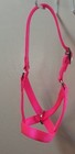 Cow  Bull  Yearling  Calf Newborn Halter Usa Made Choice Color