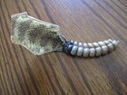 Rattlesnake Rattles W  Skin Rattle Snake Art  Jewlery Education Rattlers R3