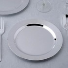 Silver Plastic 8  Round Gray Appetizer Plates Fancy Party Wedding Reception