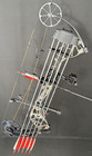 Bear Archery Species Xt Ready To Hunt Strata Camo 70lbs Right Hand Package New