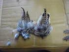 2 Beautiful Sharpe Tail Grouse Tail Clumps Craft Dog Training  Fly Tying Sharp