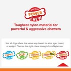 Nylabone Ring Bone Power Chew Toy For Dogs  Dog Toys For Aggressive Ch