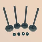 Intake   Exhaust Valves With Seal For Honda Sportrax Trx400ex 1999-2008 Trx400x