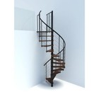 Chicago Spiral Stair - 47  Diameter - Black With Walnut Treads