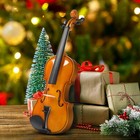 1 4 Acoustic Violin Basswood With Hard Bridge Case Bow Rosin Extra String