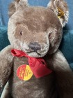 Steiff Original Brown Teddy 12    Growler Mohair 5 Way Jointed 0202 36