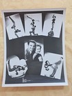 Press Release Photos And Related Lot Vintage Show Business Movie Stars 8  X 10 
