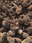 Jumbo Wild Morel Mushrooms  Whole  dried  - Full 1 Pound