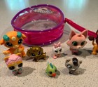 Lot Of 11  Hatchimals  Colleggtibles Mini Figures  Toys  Good Used Condition