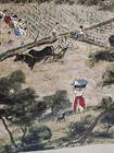 Original Watercolor On Rice Paper Korean Painting 20    13 5  