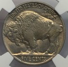 1917 5c Buffalo Nickel Ngc Ms62   mkxok0006