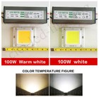 Led Chip Bulb 10w 20w 30w 50w 70w 100w Driver Power Waterproof Supply High Smd