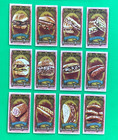 2024 Topps Allen Ginter Mini  Ballpark Bites Complete Set Of 30   Pickle  pizza