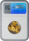 New Guinea Gold Nugget 15 5g  498 Oz Ngc 950115-7