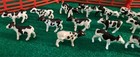 Cm Custom Ertl 1 64 Set Of 19 Dairy Milk Calves Farm Holstein Cattle