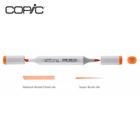 Copic Sketch Marker 72 Color Set C Alcohol Dual Tip Art Illustration Japan Pro