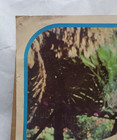 Vintage 1976 Bi-rite 23 x35  Farrah Fawcett As Jill Of Charlie s Angels Poster