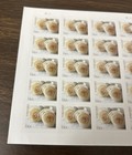 Forever Usps White Roses Booklet Pane Of 20 Wedding Stamps Scott  4520  mnh 