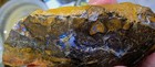 Australian Boulder Opal Rough Koroit 230 Carats  See Video