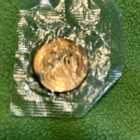 Sunoco Millennium Coin Series 1999  Still In Plastic  2000 Special Millennium