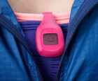 Fitbit Zip Wireless Activity Calories Steps Tracker Clip On Pedometer  pink 