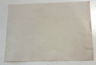 Original 1956 Wenatchee Chiefs Baseball Team Picture Nwl Minor League Edo Vanni