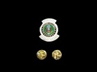 U s Military Army Operation Desert Storm Hat Lapel Pin 