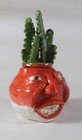 Yummy Red Radish - Anthropomorphic Spice Jar  Fruit   Face Jug  Herbal Container