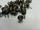 Spanish Bronze Renaissance Upholstery Nails 1 2 l 7 16 dia Decorative Nail Head