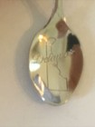 Delaware The First State Vintage Souvenir Spoon Collectible
