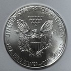 2011 American Eagle 1 Oz  999 Silver Bullion Coin