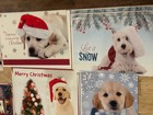 Christmas Greeting Cards W envelopes - Dog Canine Theme - Lot Of 34