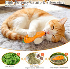 Catnip Cat Toys  5 Pack  Plush Cat Nip Toys For Indoor Kitten Kitty  Interactive