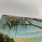 1949 Black Americana Post Card